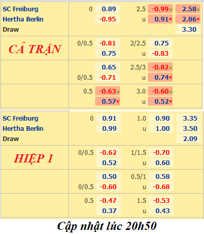 Feiburg-vs-Hertha