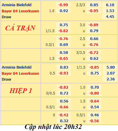 Bielefeld-vs-Leverkusen