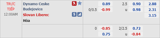 Nhận định soi kèo Ceske Budejovice vs Slovan Liberec, 23h00 ngày 27/5: VĐQG Séc