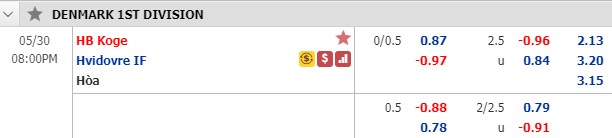 Nhận định soi kèo HB Koge vs Hvidovre, 19h00 ngày 30/5: Hạng 2 Đan Mạch