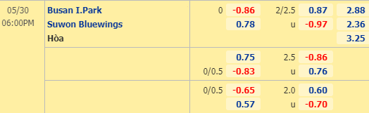 Nhận định bóng đá trận Busan I'Park vs Suwon Bluewings trong khuôn khổ vòng 4 giải VĐQG Hàn Quốc