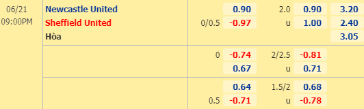 Nhận định bóng đá trận Newcastle vs Sheffield Utd trong khuôn khổ vòng 30 giải Ngoại hạng Anh
