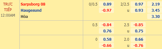 Nhận định soi kèo Sarpsborg vs Haugesund, 23h00 ngày 29/07: VĐQG Na Uy