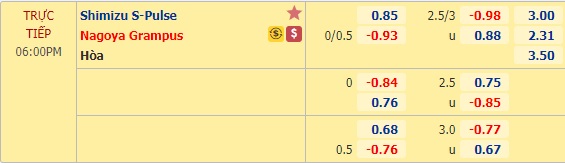 Nhận định soi kèo Shimizu S-Pulse vs Nagoya Grampus, 17h00 ngày 5/8: Cúp Liên đoàn Nhật Bản