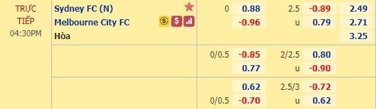 Nhận định soi kèo Sydney FC vs Melbourne City, 15h30 ngày 30/8: VĐQG Australia