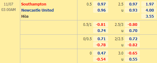 Nhận định bóng đá Southampton vs Newcastle , 03h00 ngày 07/11: Ngoại hạng Anh