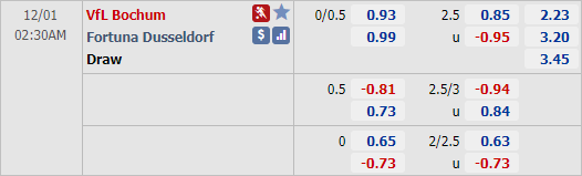 Nhận định bóng đá Bochum vs Dusseldorf, 02h30 ngày 01/12: Hạng 2 Đức