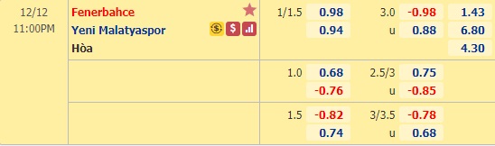 Nhận định bóng đá Fenerbahce vs Yeni Malatyaspor, 23h00 ngày 12/12: VĐQG Thổ Nhĩ Kỳ