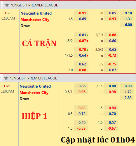 Newcasle-vs-Man-City