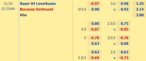 Nhận định bóng đá Leverkusen vs Dortmund, 02h30 ngày 20/01: VĐQG Đức