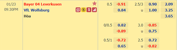 Nhận định bóng đá Leverkusen vs Wolfsburg, 21h30 ngày 23/1: VĐQG Đức