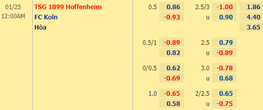 Nhận định bóng đá Hoffenheim vs FC Koln, 00h00 ngày 25/01: VĐQG Đức