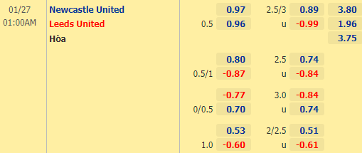 Nhận định bóng đá Newcastle vs Leeds Utd, 01h00 ngày 27/01: Ngoại hạng Anh