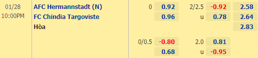 Nhận định bóng đá Hermannstadt vs Chindia Targoviste, 22h00 ngày 28/01: VĐQG Romania