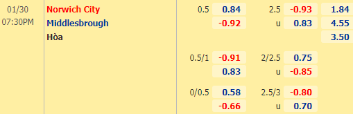 Nhận định bóng đá Norwich vs Middlesbrough, 19h30 ngày 30/01: Hạng nhất Anh