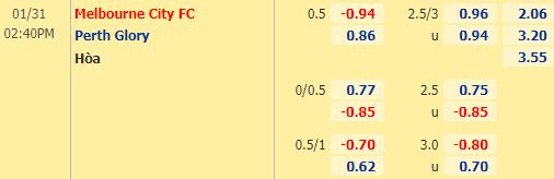 Nhận định bóng đá Melbourne City vs Perth Glory, 14h40 ngày 31/01: VĐQG Australia