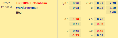 Nhận định bóng đá Hoffenheim vs Bremen, 00h00 ngày 22/02: VĐQG Đức