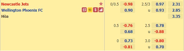 Nhận định bóng đá Newcastle Jets vs Wellington