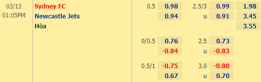 Nhận định bóng đá Sydney FC vs Newcastle Jets, 13h05 ngày 13/03: VĐQG Australia