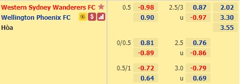 Nhận định bóng đá Western Sydney vs Wellington