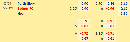 Nhận định bóng đá Perth Glory vs Sydney FC, 17h20 ngày 24/3: VĐQG Australia