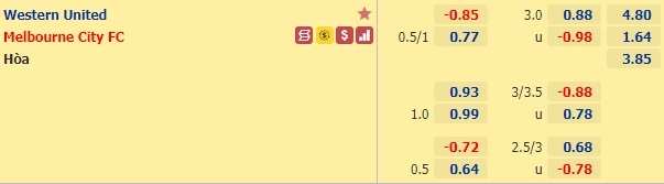 Nhận định bóng đá Western United vs Melbourne City