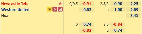 Nhận định bóng đá Newcastle Jets vs Western United