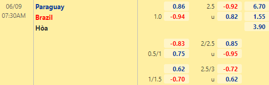 Nhận định bóng đá Paraguay vs Brazil, 07h30 ngày 09/06: Vòng loại World Cup 2022