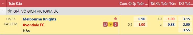 Nhận định bóng đá Melbourne Knights vs Avondale, 16h30 ngày 25/6: Vô địch bang Australia
