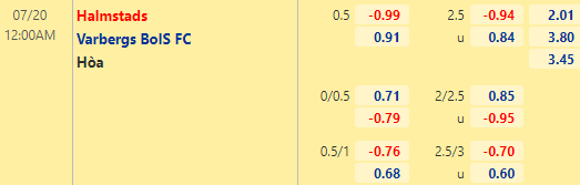 Nhận định bóng đá Halmstads vs Varbergs, 00h00 ngày 20/07: VĐQG Thụy Điển