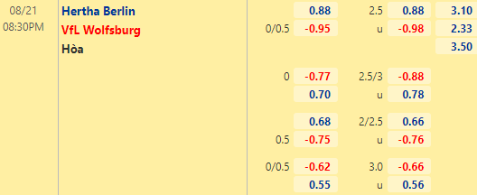 Nhận định bóng đá Hertha Berlin vs Wolfsburg, 20h30 ngày 21/08: VĐQG Đức