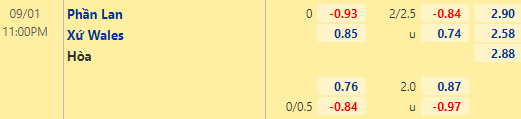 Nhận định bóng đá Phần Lan vs Wales, 23h00 ngày 01/09: Giao hữu quốc tế