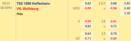 Nhận định bóng đá Hoffenheim vs Wolfsburg, 20h30 ngày 25/09: VĐQG Đức