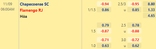 Nhận định bóng đá Chapecoense vs Flamengo, 06h00 ngày 09/11: VĐQG Brazil