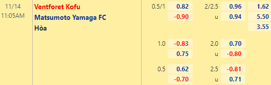 Nhận định bóng đá Ventforet Kofu vs Matsumoto Yamaga, 11h05 ngày 14/11: Hạng 2 Nhật Bản