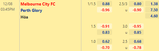 Nhận định bóng đá Melbourne City vs Perth Glory, 15h45 ngày 08/12: VĐQG Australia