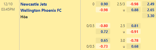 Nhận định bóng đá Newcastle Jets vs Wellington Phoenix, 15h45 ngày 10/12: VĐQG Australia