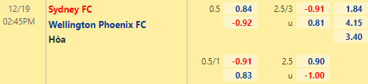 Nhận định bóng đá Sydney FC vs Wellington, 14h45 ngày 19/12: VĐQG Australia