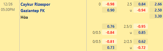 Nhận định bóng đá Rizespor vs Gaziantep, 17h30 ngày 26/12: VĐQG Thổ Nhĩ Kỳ