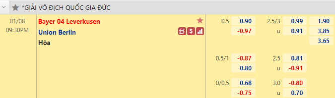 Nhận định bóng đá Leverkusen vs Union Berlin, 21h30 ngày 8/1: Bundesliga