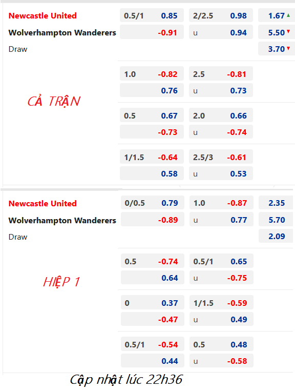 CHỐT KÈO trực tiếp trận Newcastle vs Wolves, 23h30 ngày 12/03: Ngoại hạng Anh