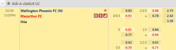 Nhận định bóng đá Wellington Phoenix vs Macarthur, 12h05 ngày 6/2: VĐQG Úc