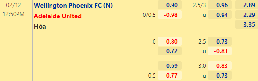 Nhận định bóng đá Wellington Phoenix vs Adelaide United, 12h50 ngày 12/02: VĐQG Australia