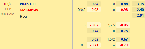 Nhận định bóng đá Puebla vs Monterrey, 08h00 ngày 19/02: VĐQG Mexico
