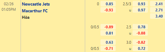 Nhận định bóng đá Newcastle Jets vs Macarthur, 13h05 ngày 26/02: VĐQG Australia