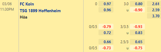 Nhận định bóng đá FC Koln vs Hoffenheim, 23h30 ngày 06/03: VĐQG Đức