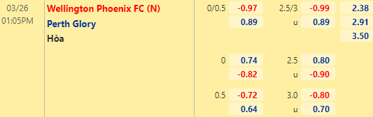 Nhận định bóng đá Wellington Phoenix vs Perth Glory, 13h05 ngày 26/03: VĐQG Australia