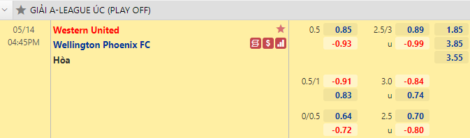 Nhận định bóng đá Western Utd vs Wellington Phoenix, 16h45 ngày 14/5: VĐQG Úc