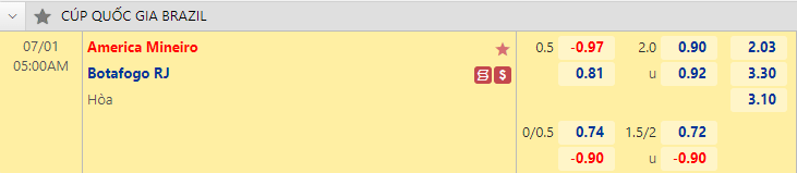 Nhận định bóng đá America Mineiro vs Botafogo RJ, 5h00 ngày 30/6: Cúp QG Brazil