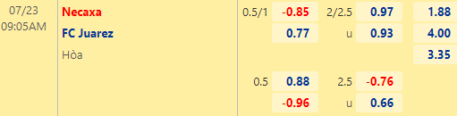 Nhận định bóng đá Necaxa vs FC Juarez, 09h05 ngày 23/07: VĐQG Mexico